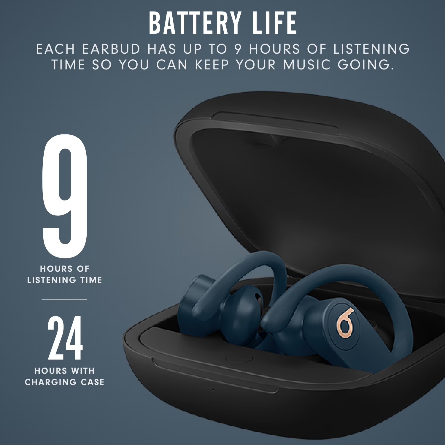 Beats Powerbeats Pro：インイヤー型ワイヤ - Beats Headphone Powerbeats Pro のレビューと価格